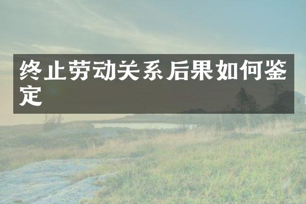 终止劳动关系后果如何鉴定