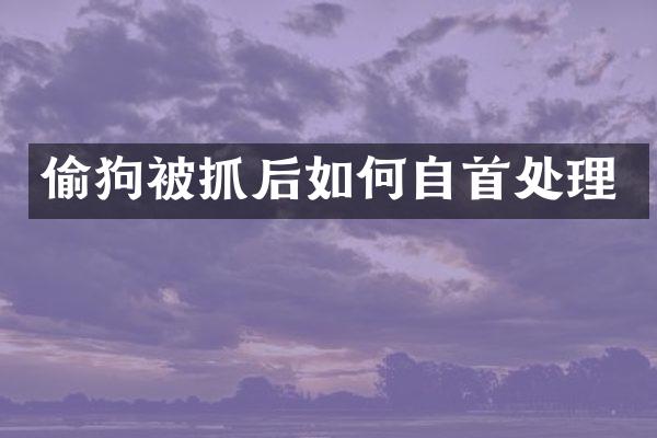 偷狗被抓后如何自首处理