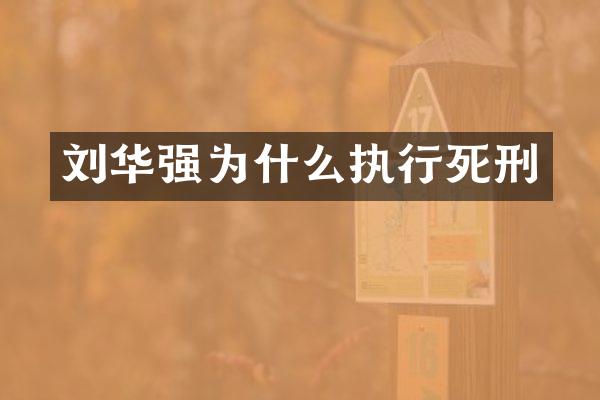刘华强为什么执行死刑