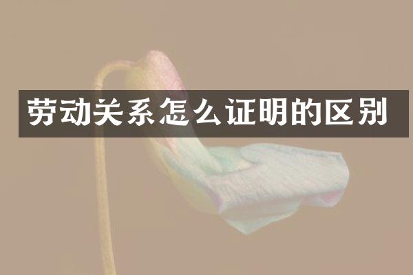 劳动关系怎么证明的区别