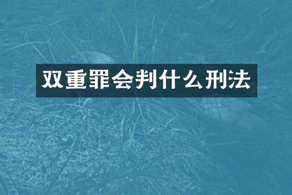 双重罪会判什么刑法