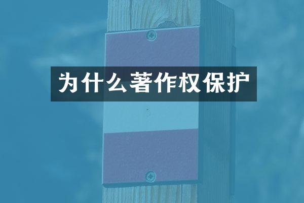 为什么著作权保护