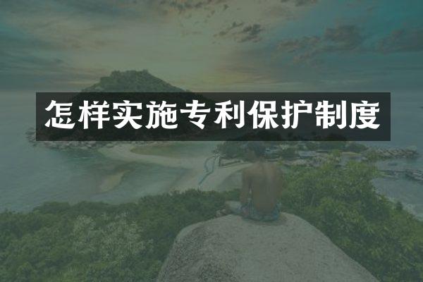 怎样实施专利保护制度