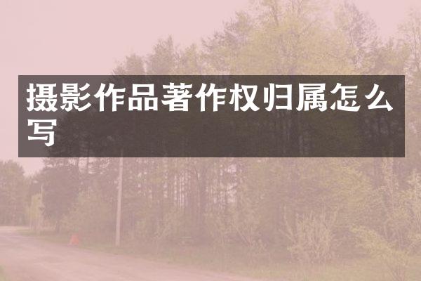 摄影作品著作权归属怎么写