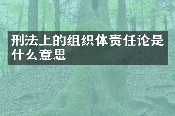 刑法上的组织体责任论是什么意思