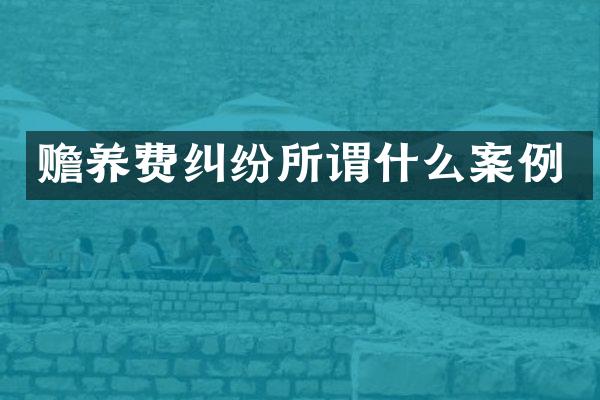 赡养费纠纷所谓什么案例