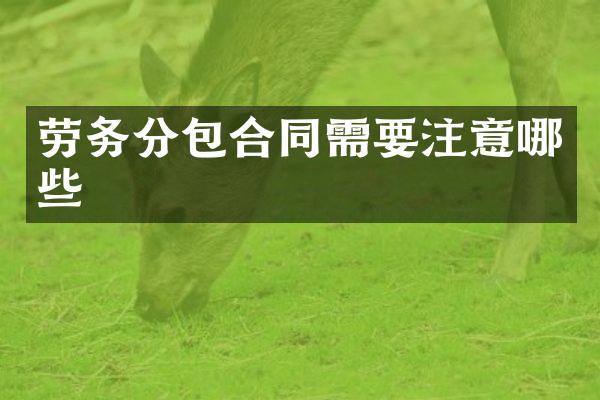 劳务分包合同需要注意哪些