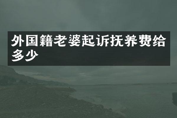 外国籍老婆起诉抚养费给多少