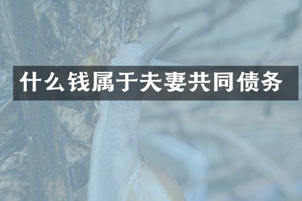 什么钱属于夫妻共同债务