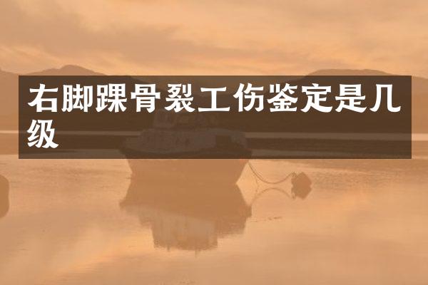 右脚踝骨裂工伤鉴定是几级