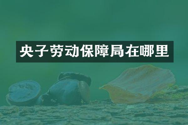 央子劳动保障局在哪里