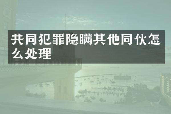共同犯罪隐瞒其他同伙怎么处理