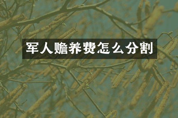 军人赡养费怎么分割
