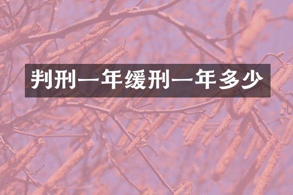 判刑一年缓刑一年多少