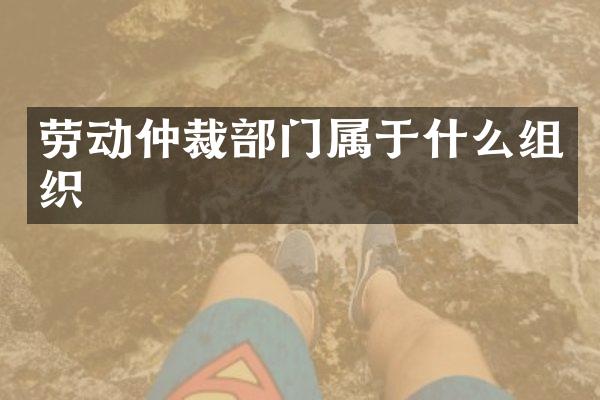 劳动仲裁部门属于什么组织