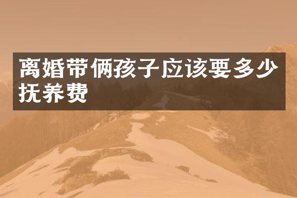 离婚带俩孩子应该要多少抚养费