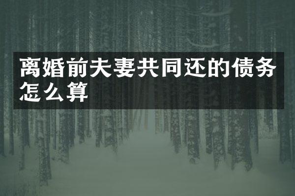 离婚前夫妻共同还的债务怎么算