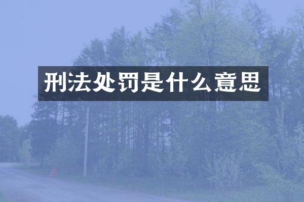 刑法处罚是什么意思
