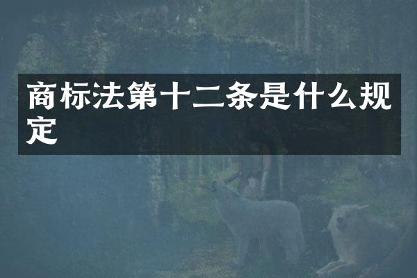 商标法第十二条是什么规定