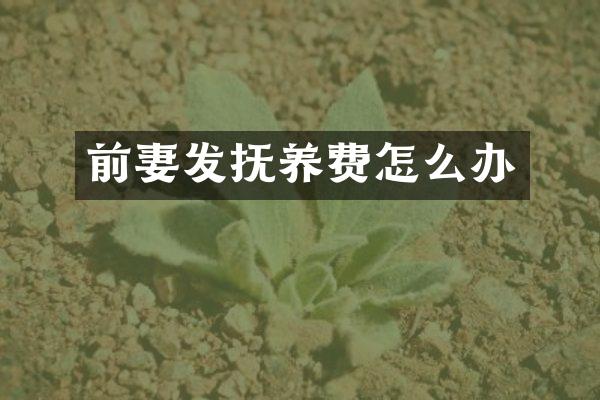 前妻发抚养费怎么办