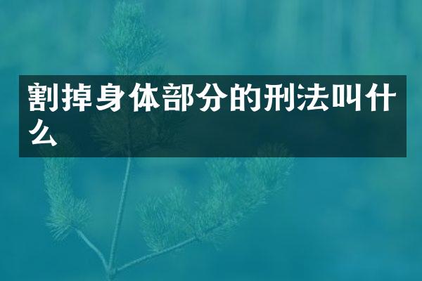 割掉身体部分的刑法叫什么