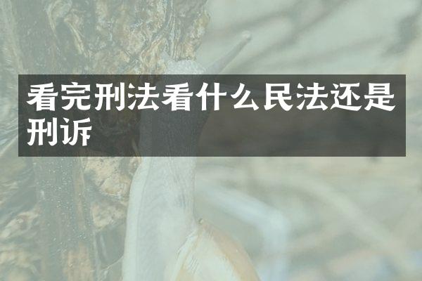 看完刑法看什么民法还是刑诉