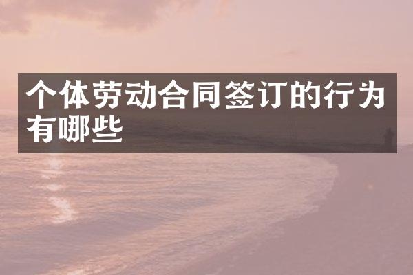 个体劳动合同签订的行为有哪些