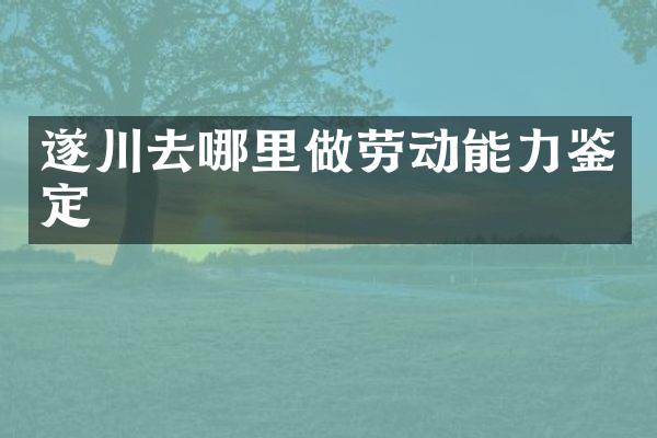 遂川去哪里做劳动能力鉴定