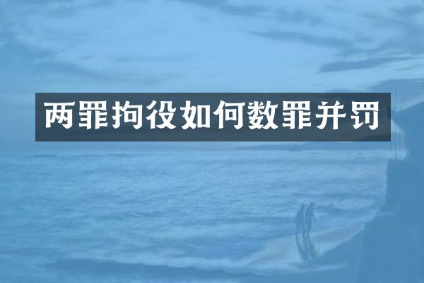 两罪拘役如何数罪并罚