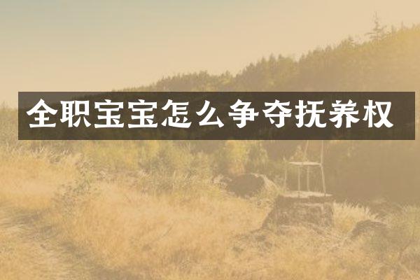 全职宝宝怎么争夺抚养权