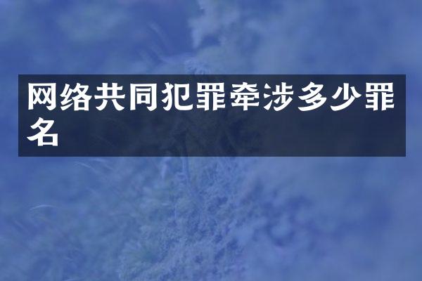 网络共同犯罪牵涉多少罪名