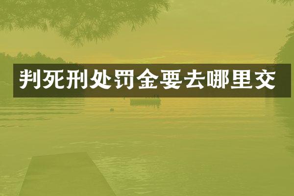 判死刑处罚金要去哪里交