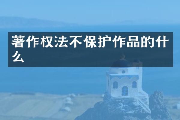 著作权法不保护作品的什么