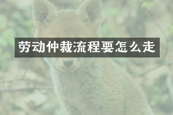 劳动仲裁流程要怎么走