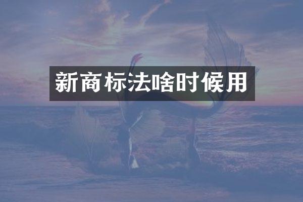 新商标法啥时候用