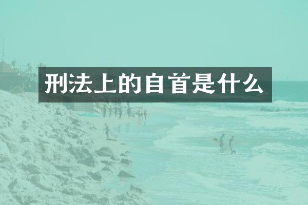 刑法上的自首是什么