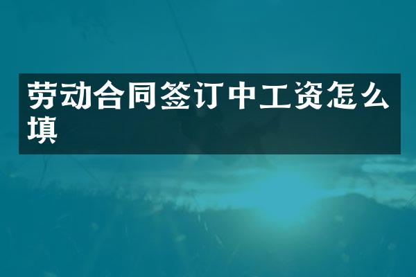 劳动合同签订中工资怎么填