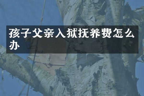 孩子父亲入狱抚养费怎么办