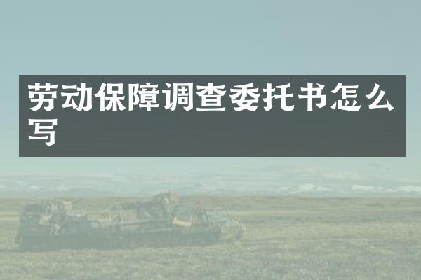 劳动保障调查委托书怎么写