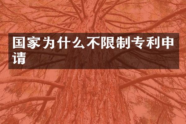 国家为什么不限制专利申请