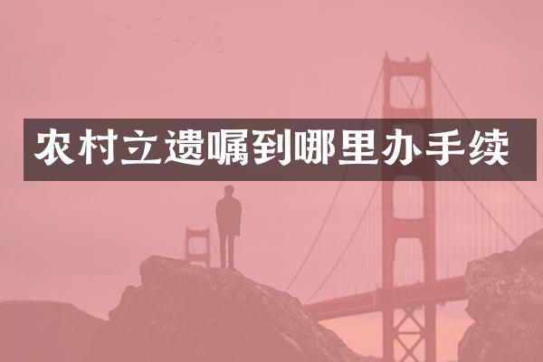 农村立遗嘱到哪里办手续