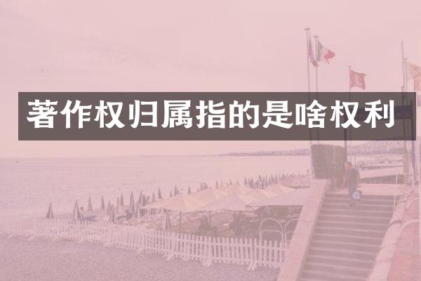 著作权归属指的是啥权利
