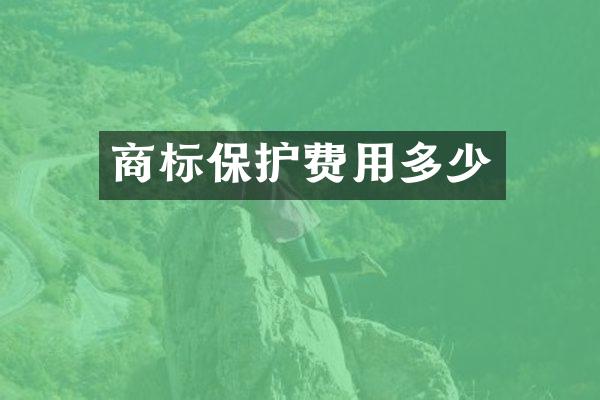 商标保护费用多少
