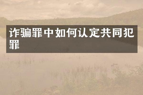 诈骗罪中如何认定共同犯罪