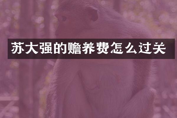 苏大强的赡养费怎么过关