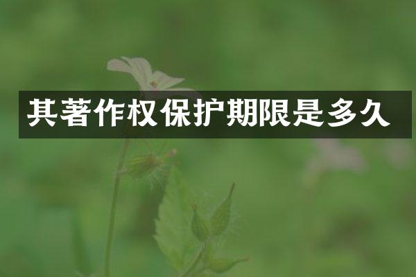 其著作权保护期限是多久