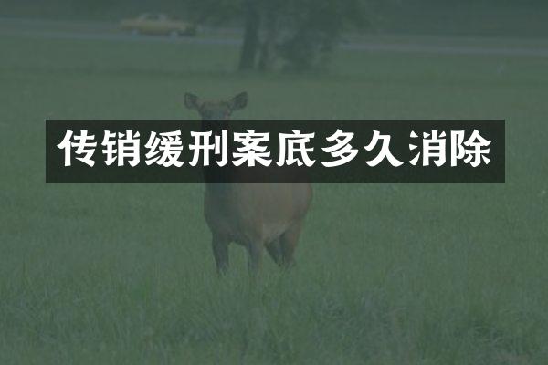 传销缓刑案底多久消除