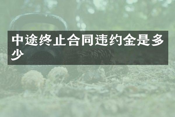 中途终止合同违约金是多少