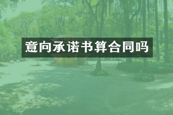 意向承诺书算合同吗