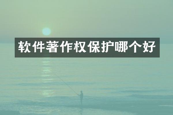 软件著作权保护哪个好